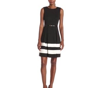 Calvin Klein Fit and Flare Dress
